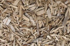 biomass boilers Barton Le Clay